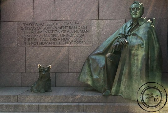 FDR and Fala